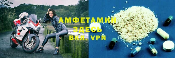 молекула духа Алексеевка