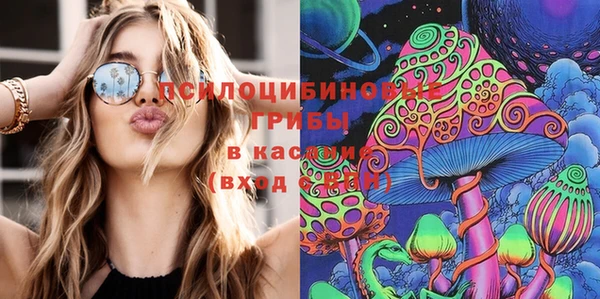 молекула духа Алексеевка